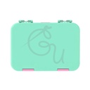 Tiffany Bento Box