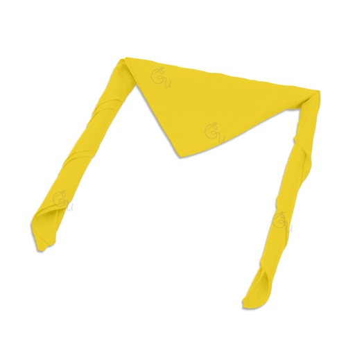 Governments School Scouts Scarf